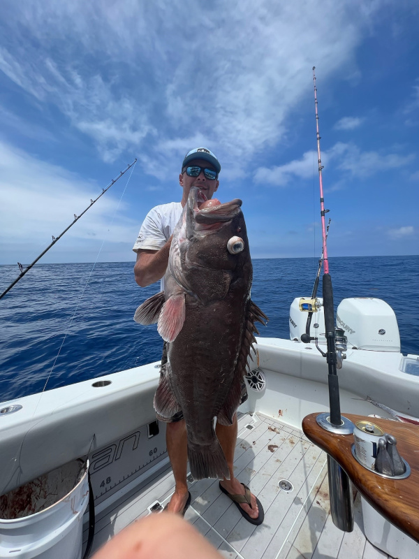 Photograph of Record Snowy Grouper