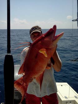 Photograph of Record Hogfish with angler W. Covington