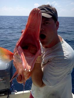Photograph of Record Hogfish with angler W. Covington