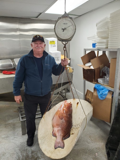 Record Red Grouper
