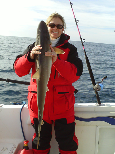 Atlantic Sharpnose Shark