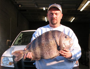 Photograph of Record Sheepshead