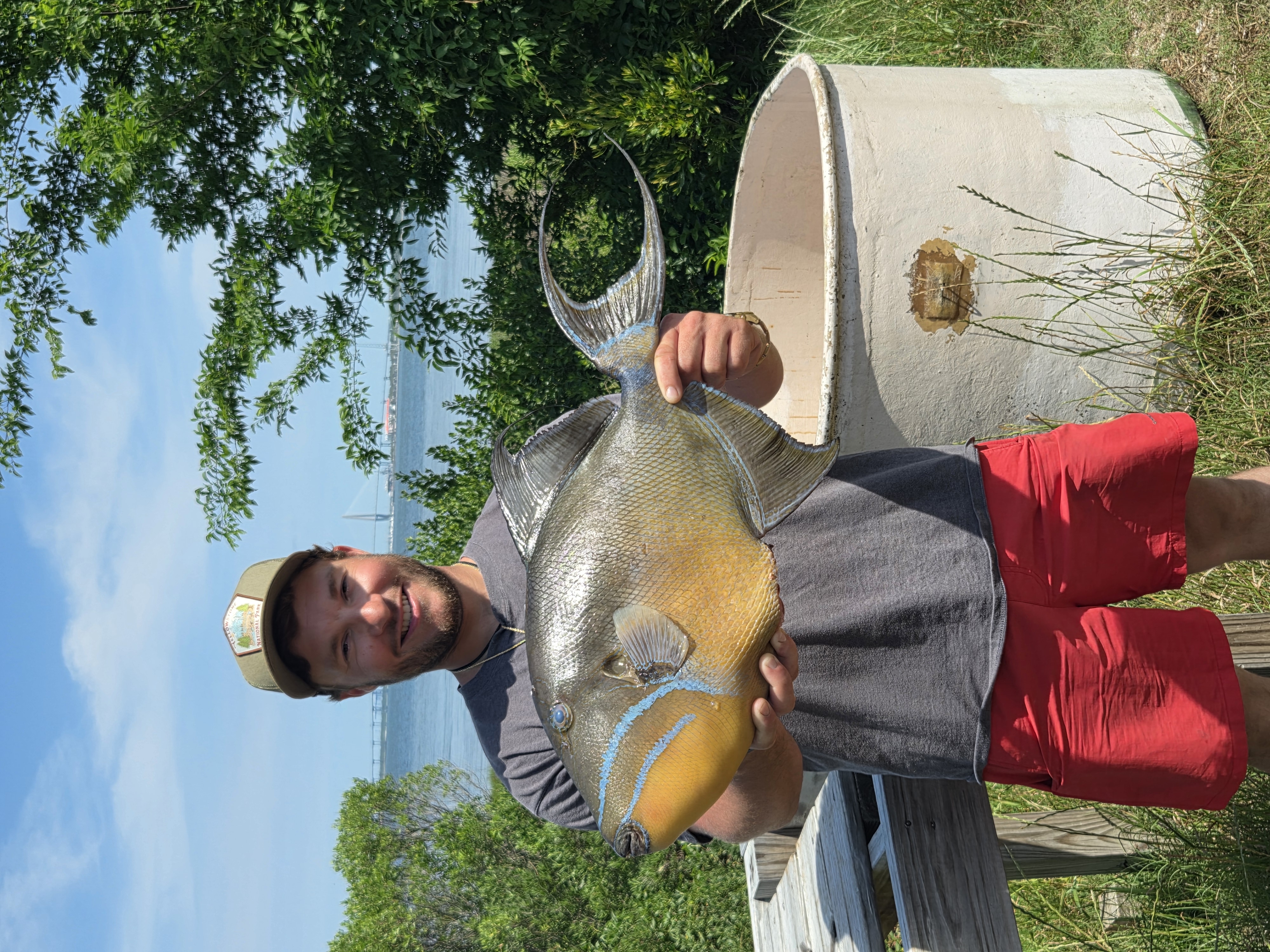 Photograph of Record Triggerfish