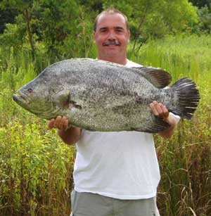 Photograph of Record Tripletail