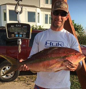 Photograph of Yellowtail Snapper