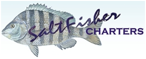 Saltfisher Charters