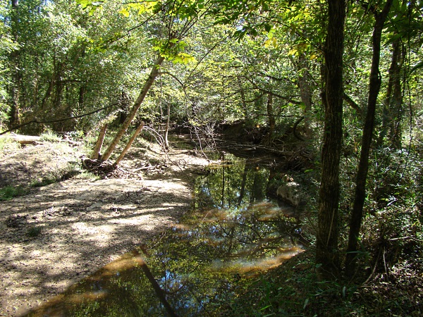 Carolina Heelsplitter Habitat - Flat Creek in Lancaster County