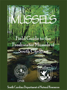 Mussels - Field Guide to the Freshwater Mussels of SC