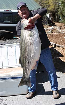 Angler with Striper