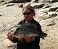 Largemouth bass caught in Lake Jocassee