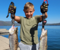 a kid holding two brown trouts