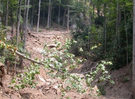 Landslide at Jones Gap State Park