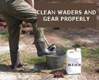 Clean Waders and Gear Properly!