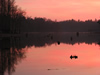 Photographs of Lake Marion