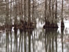 Photographs of Lake Marion