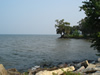 Photographs of Lake Moultrie