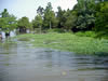 Photographs of Lake Moultrie