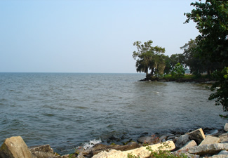 Lake Moultrie