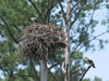 Photographs of Lake Murray