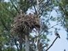 Photographs of Lake Murray