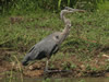 Photographs of Lake Murray