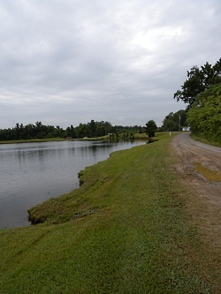 Lake Cherokee