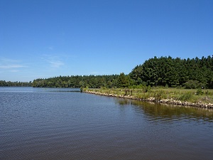 Dargan's Pond