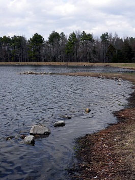 Lake Oliphant