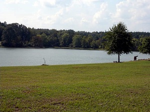 Star Fort Pond