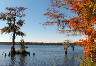 Lake Thurmond