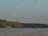 Photographs of Lake Wateree