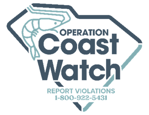 Coast Watch Program Logo