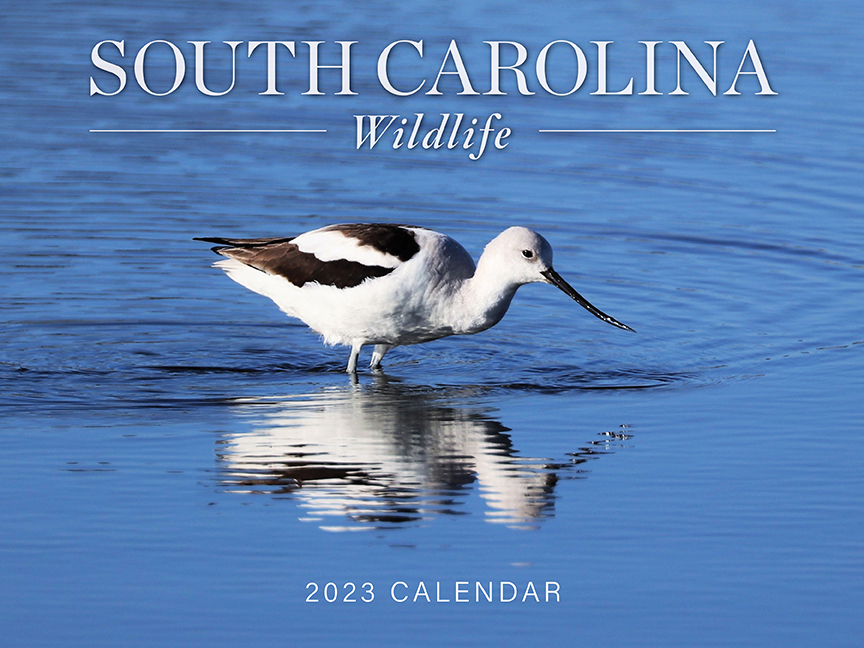 SC Wildlife Magazine