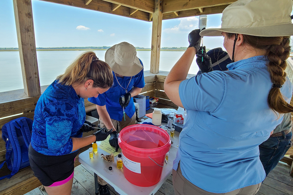 Three people processing water samples on a dock