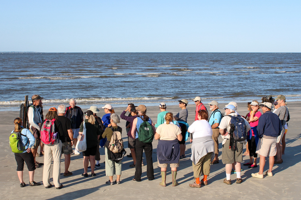 A class on the beach surrounding an instructor