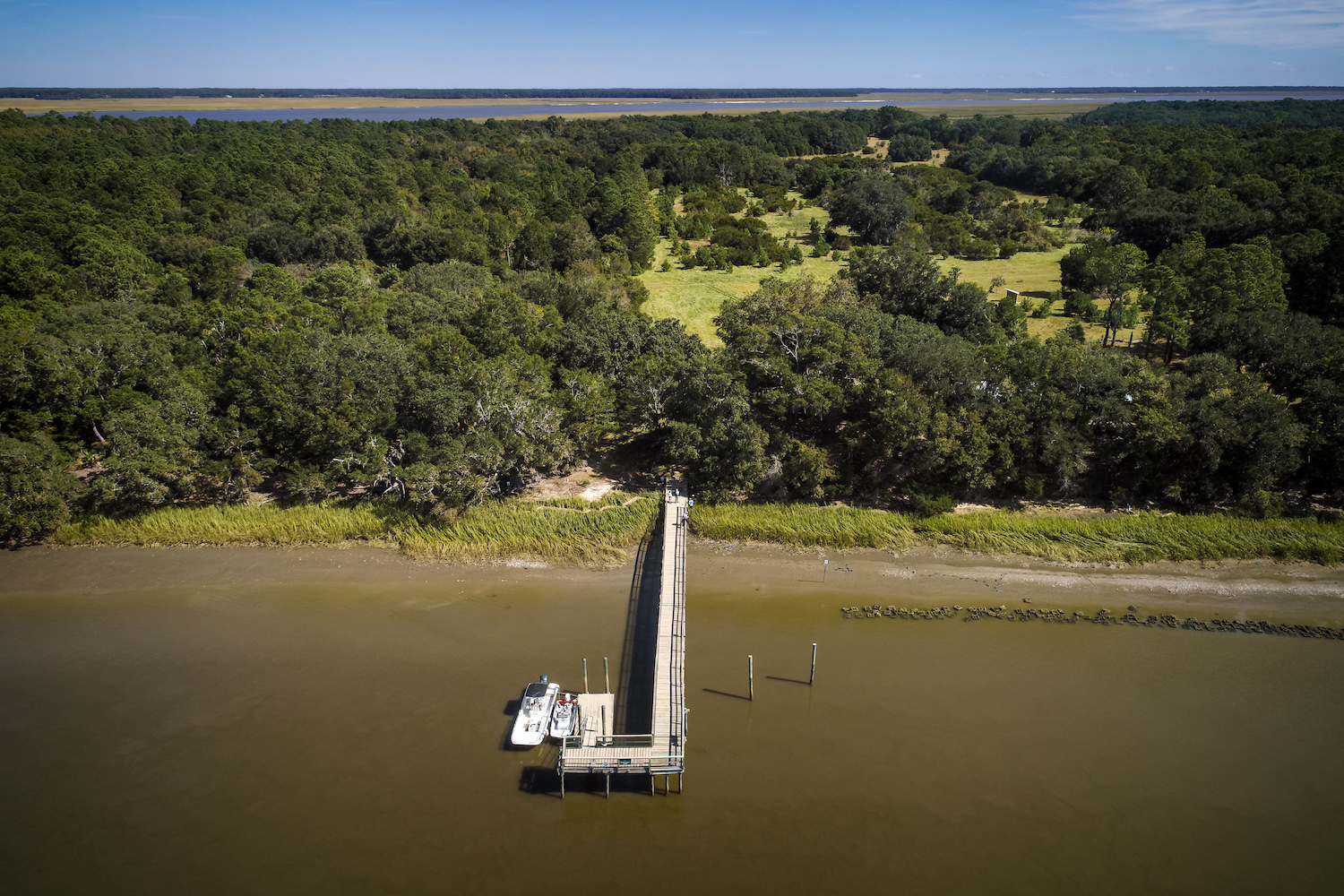 A dock leading past the marsh to a tree covered South Fenwick Island