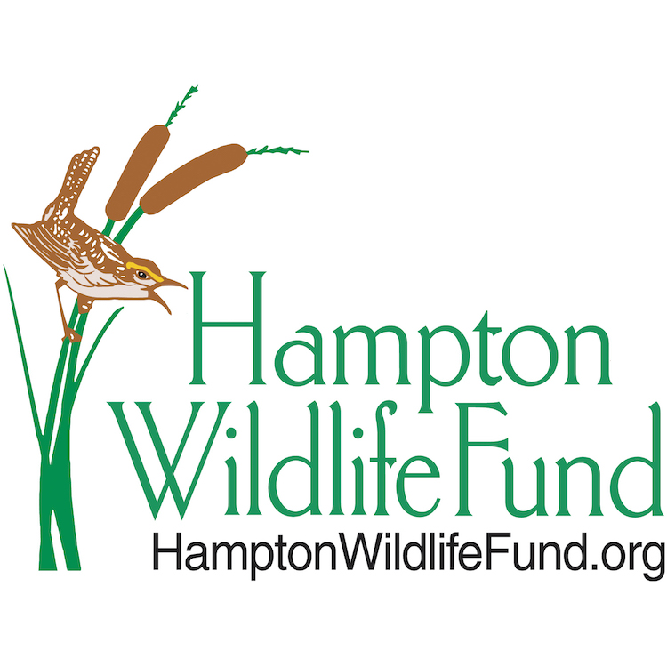 Hampton Wildlife Fund Logo