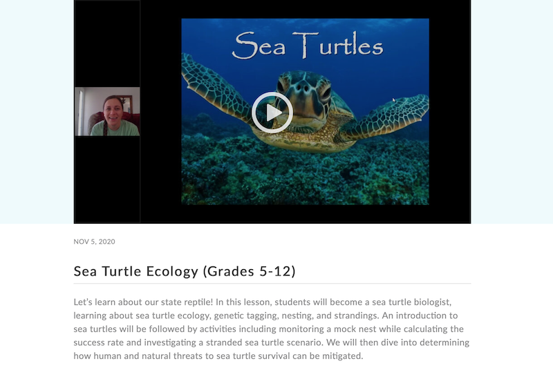A preview of a recorded lesson on Sea Turtle Education for grades 5 through 12.