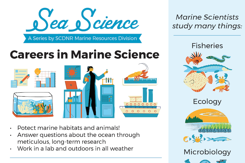 Sea Science Poster - Careers in Marine Science
