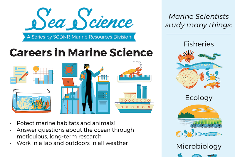 marine life topics for research paper