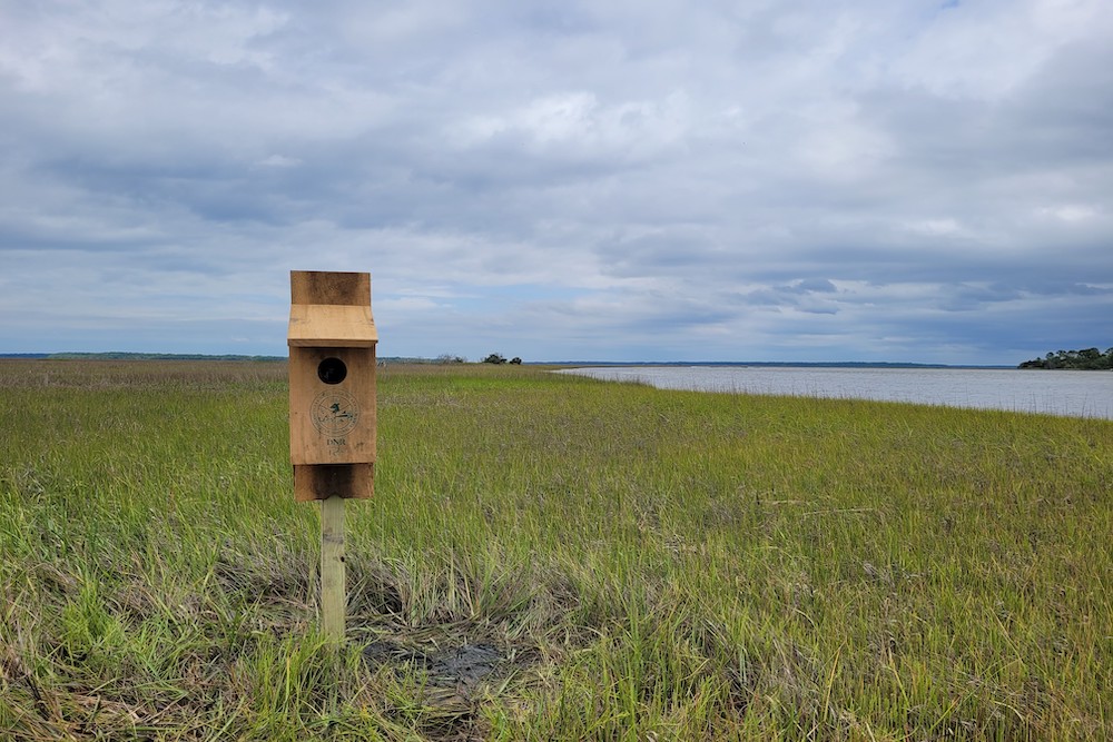 A wood duck box on Otter Island