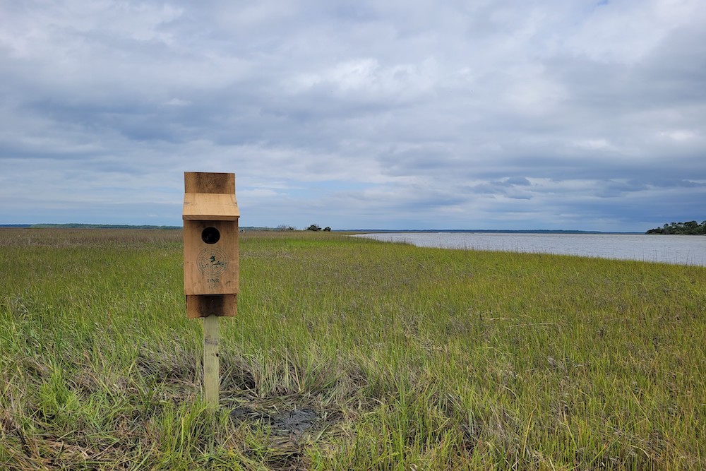 A wood duck box on Otter Island