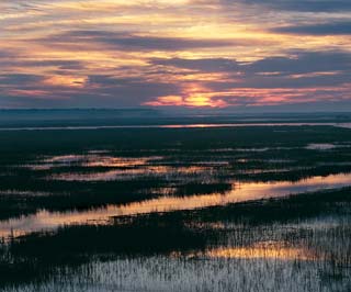 SCDNR - Estuaries