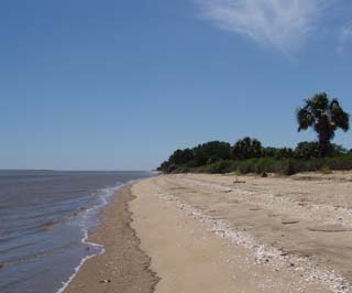 Front Beach - photography by Brett Witt