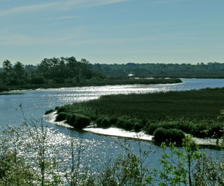 SCDNR - Marine Salt Marsh Habitat