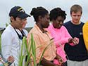 Minorities in Marine and Environmental Sciences Internship Program