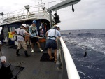 After deployed Short Bottom Longlines are soaked on the sea floor for 90 minutes, the gear is retrieved by RFS biologists and RV Palmetto vessel crew.