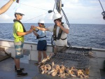 RFS biologists deploy Long Bottom Longline gear from the back deck of the RV Lady Lisa.