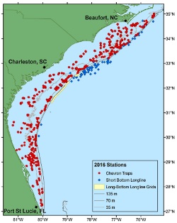 The RFS samples offshore habitat between Cape Hatteras, NC, and the St. Lucie Inlet, FL. The map shown indicates Chevron Trap stations (red circles), Short Bottom Longline stations (blue squares), and Long Bottom Longline station grids (yellow rectangles) sampled during the 2016 sampling season.