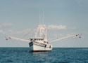 R/V Lady Lisa 